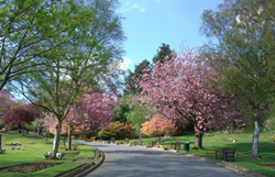 Park Wood Crematorium