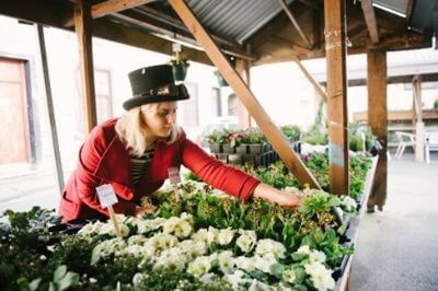 Brighouse market image 2